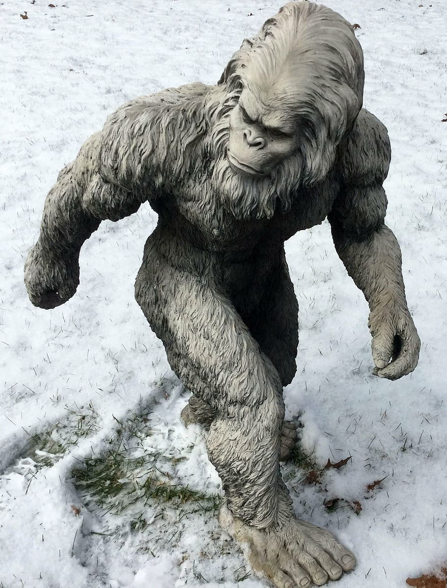 instal the new for android Bigfoot Monster - Yeti Hunter