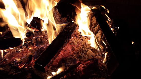 lighted bonfire close-up photo, flame, campfire, wood, brand HD wallpaper