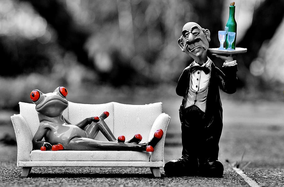 frog, couch, operation, butler, relaxation, rest, funny, cute HD wallpaper