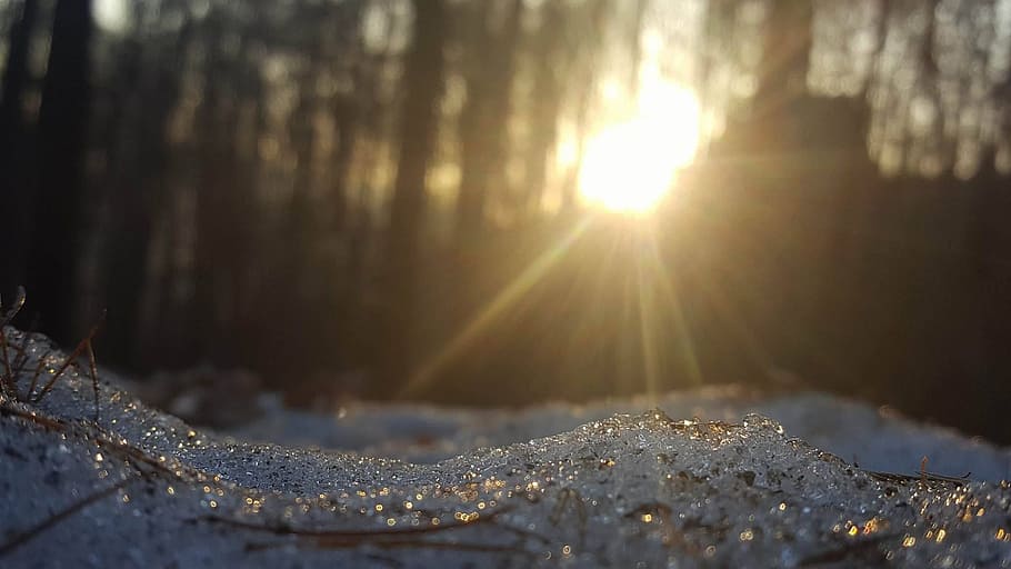 winter, earth, the sun, tree, the rays, park, evening, west HD wallpaper