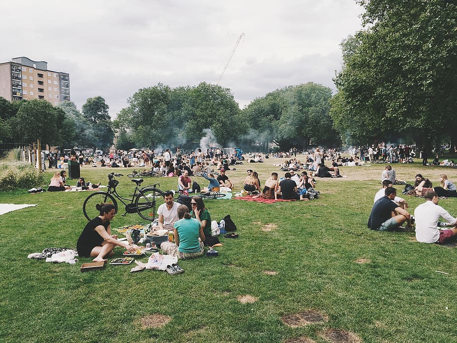 people picnic in park, men, girls, friends, family, outdoor, grass, HD wallpaper