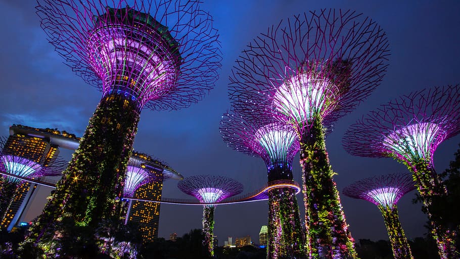 HD wallpaper: garden by the bay, singapore, night, lighting, landmark ...