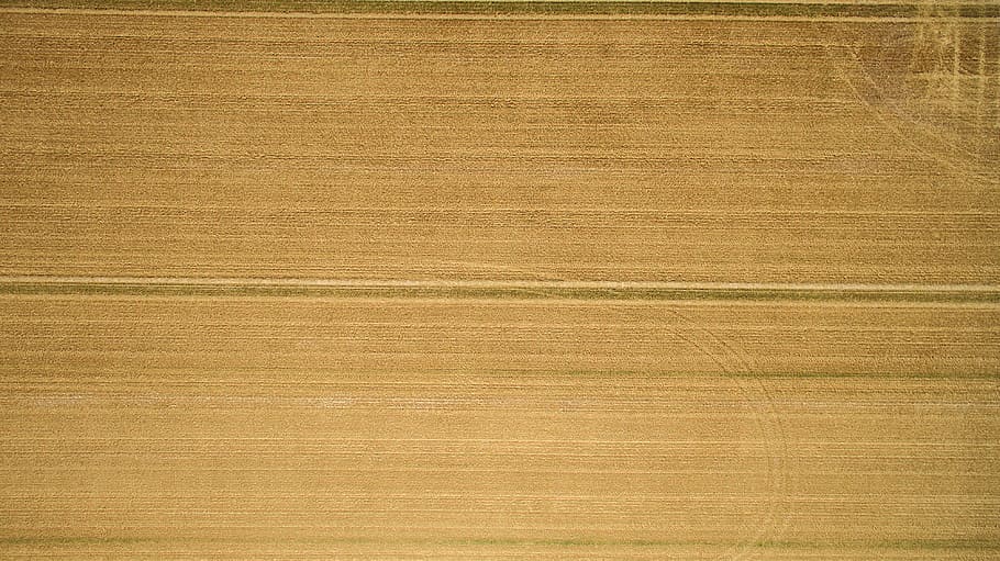A closeup of a hardwood plank., brown wooden board, aerial view, HD wallpaper