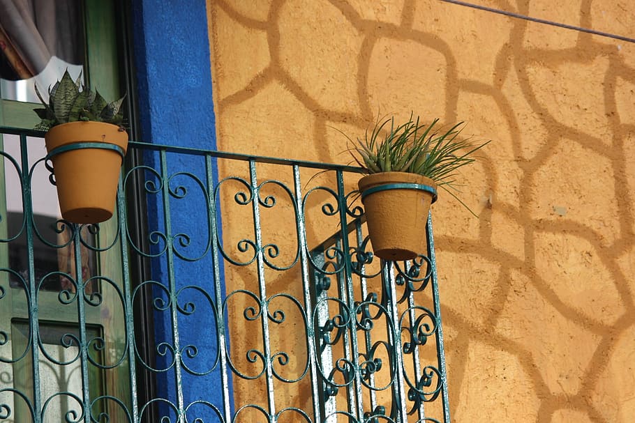 balcony, mexico, reflection, wall, potted plant, sunlight, metal HD wallpaper