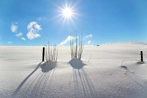 snowfield under blue sky during golden hour, winter, wintry HD wallpaper