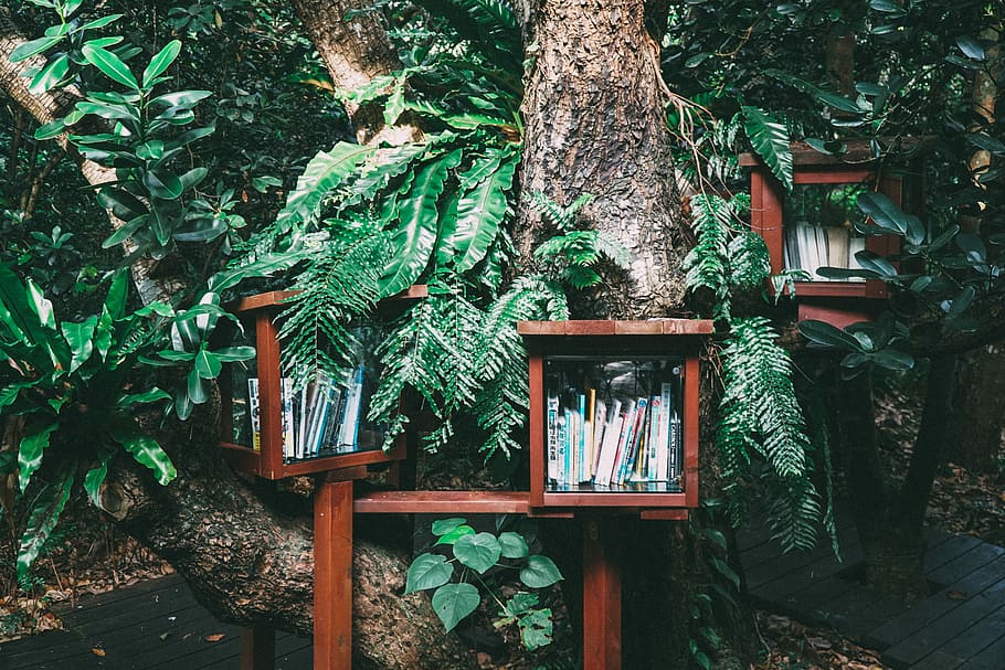 books piled on brown wooden bookshelf, brown wooden shelves near tree during daytime HD wallpaper