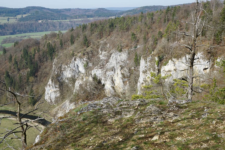 danube valley, forest, river, rock, tree, beauty in nature HD wallpaper