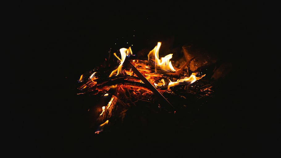 bonfire, camp, woods, rock, spark, dark, night, burning, flame HD wallpaper