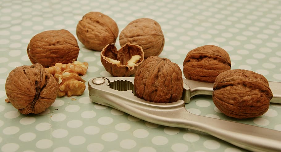 brown cashew nuts, walnuts, nutcracker, fruit bowl, open, nutshells HD wallpaper