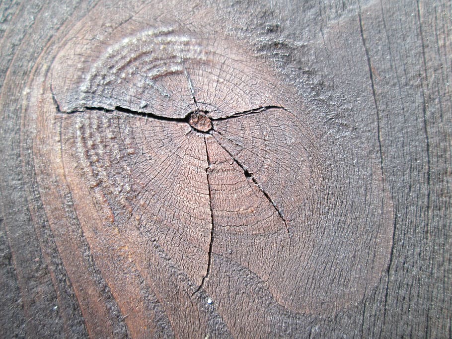 knothole, board, craft, brown, stained, textured, cracked, wood - material HD wallpaper