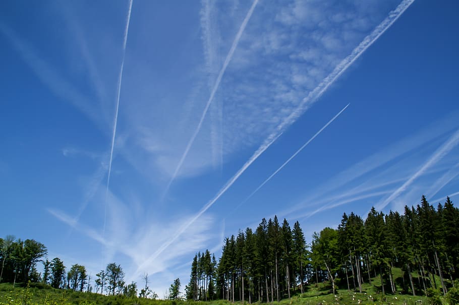 nature, forest, sky, clouds, aircraft trails, tree, vapor trail HD wallpaper