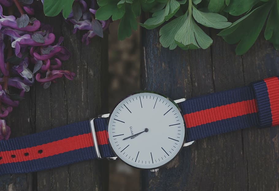 round analog watch on brown surface with flowers, bench, blue HD wallpaper