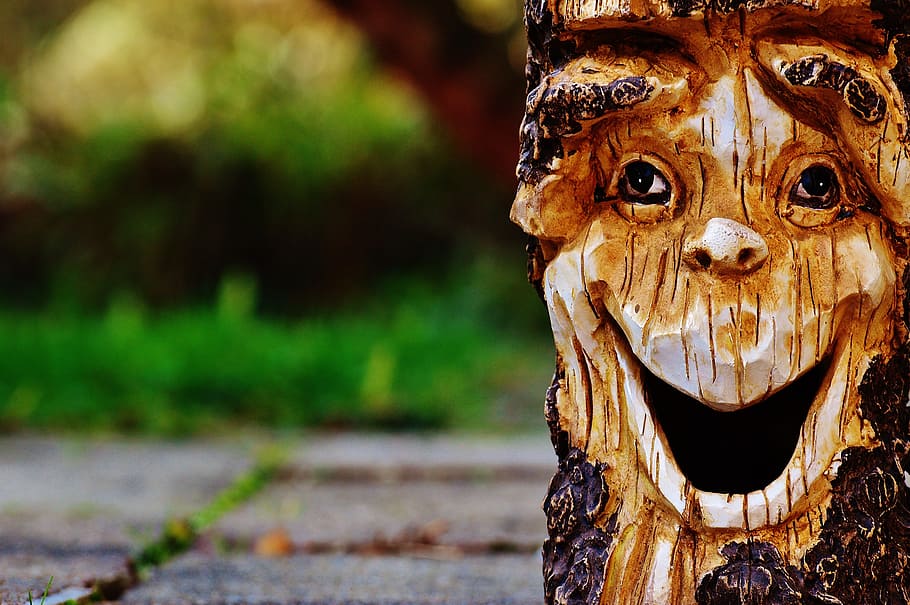 brown tree, log, face, fash, forest spirit, tree face, mystical HD wallpaper