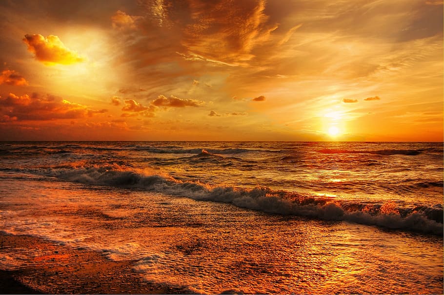 photo of seashore during golden hour, Denmark, Sun, Nature, Landscape