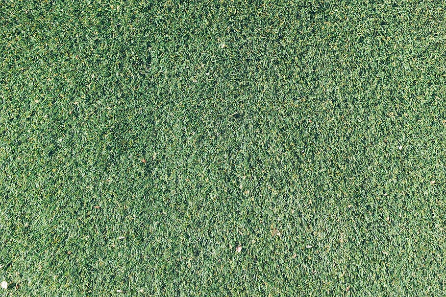 green, grass, texture, nature, outdoors, sunshine, green color HD wallpaper