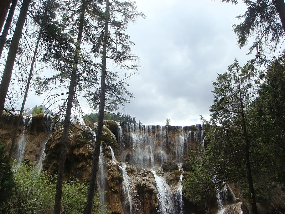 landscape, river, views, tree, plant, waterfall, beauty in nature HD wallpaper