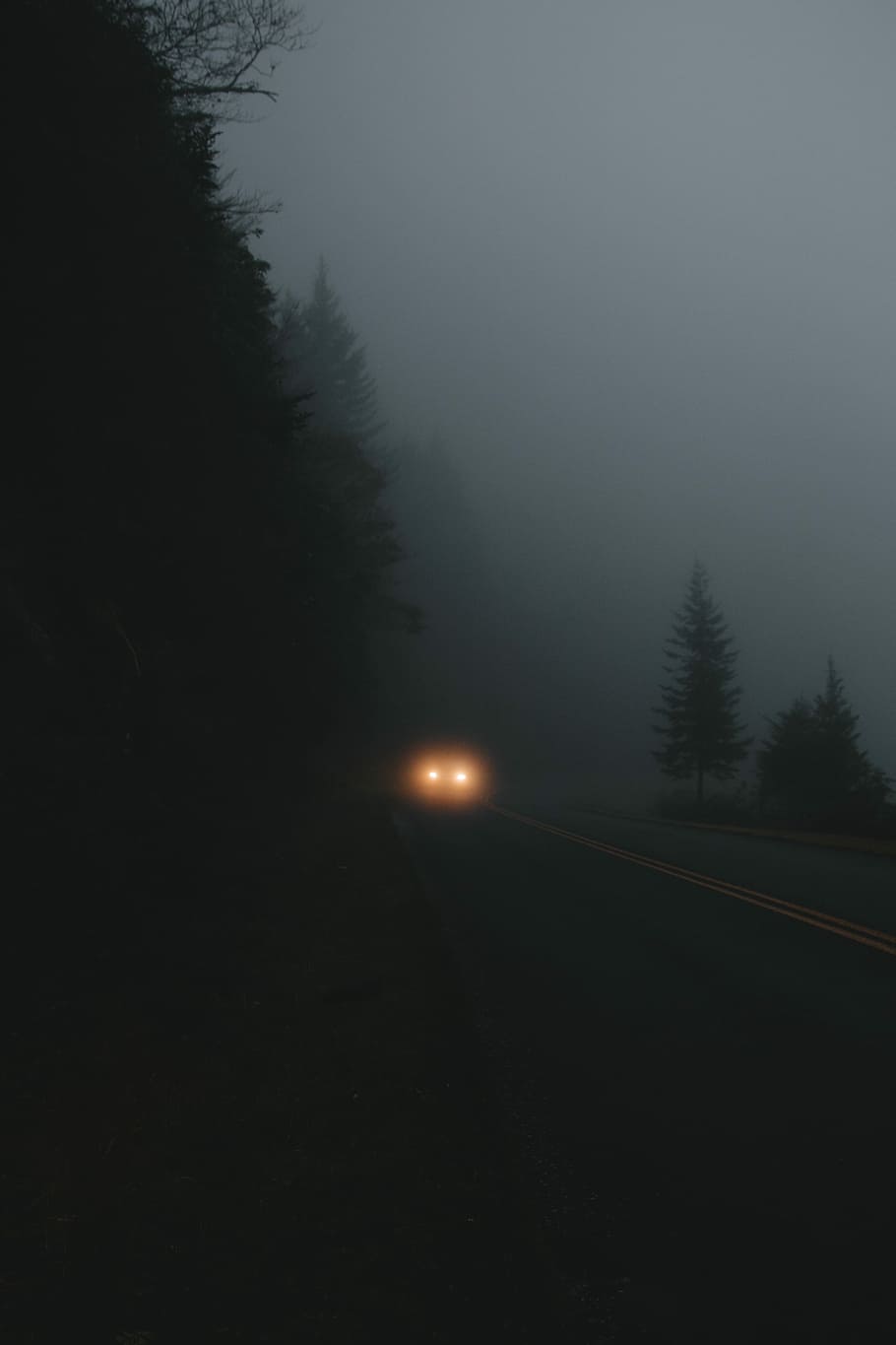vehicle on road during nighttime, silhouette of trees beside road during foggy daytime HD wallpaper