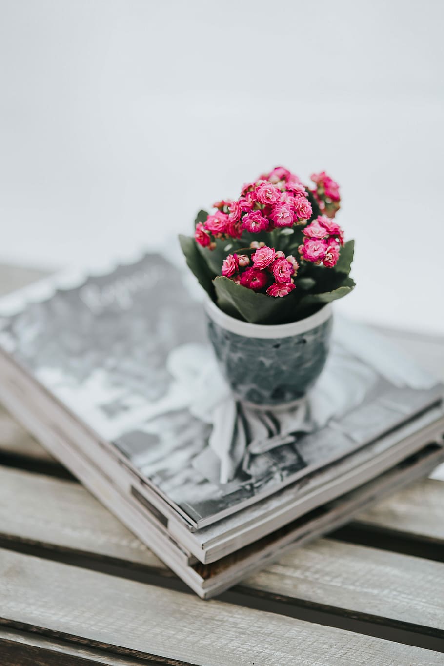 Little pink flowers in a pot with various items, flora, table HD wallpaper