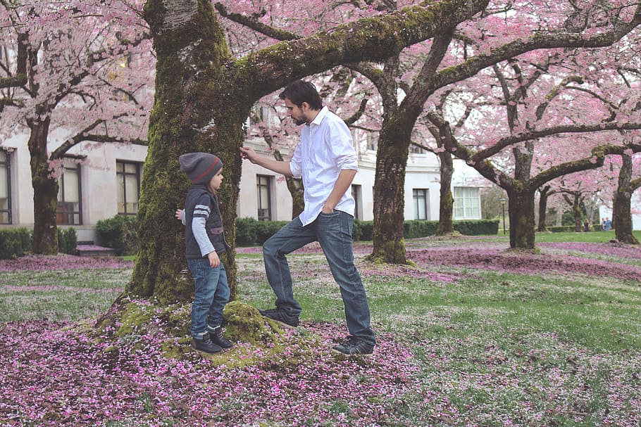 man in white shirt beside boy in jacket near tree, father, son HD wallpaper