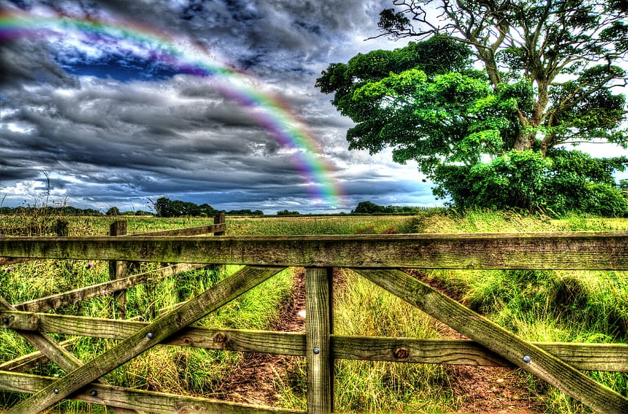 green grass field with rainbow under blue cloudy sky, landscape HD wallpaper