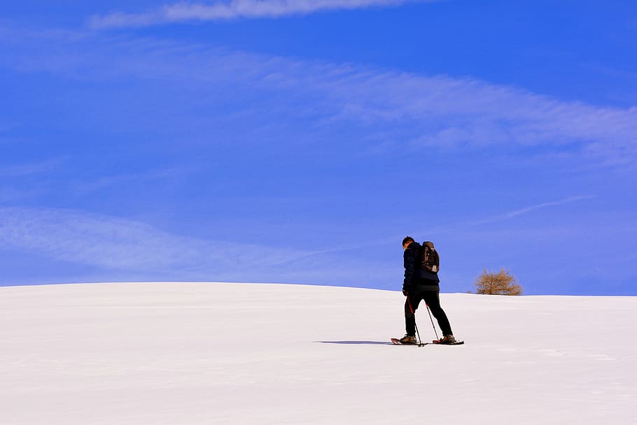 excursion, solitude, snow, tree, sky, outdoors, nature, travel HD wallpaper