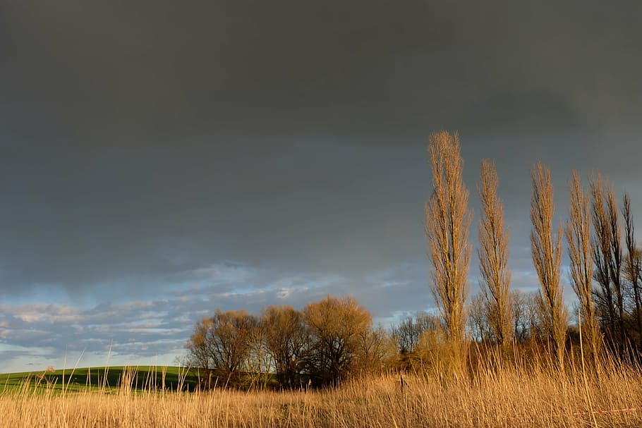 dark clouds, weather mood, sky, lighting, gloomy, heaven mood HD wallpaper