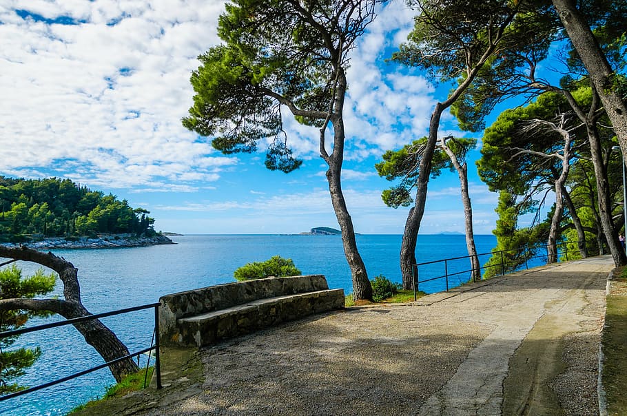 green leaf trees beside ocean, cavtat, croatia, hrvatska, adriatic, HD wallpaper