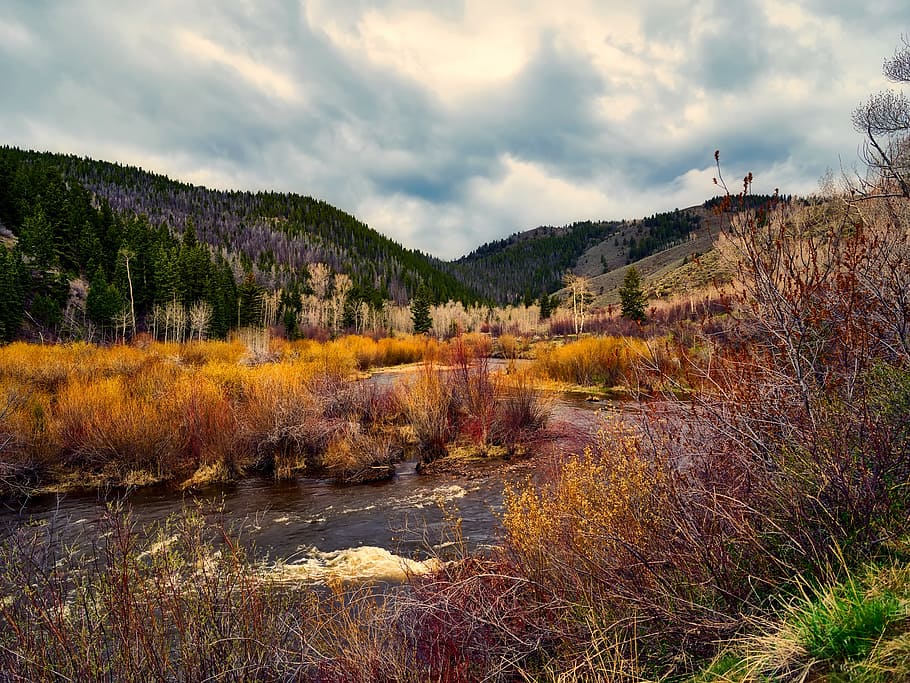 wyoming, mountains, sky, clouds, hills, autumn, fall, forest HD wallpaper