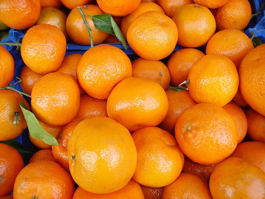 oranges, food, fruit, vitamins, citrus fruit, fruits, fruity HD wallpaper