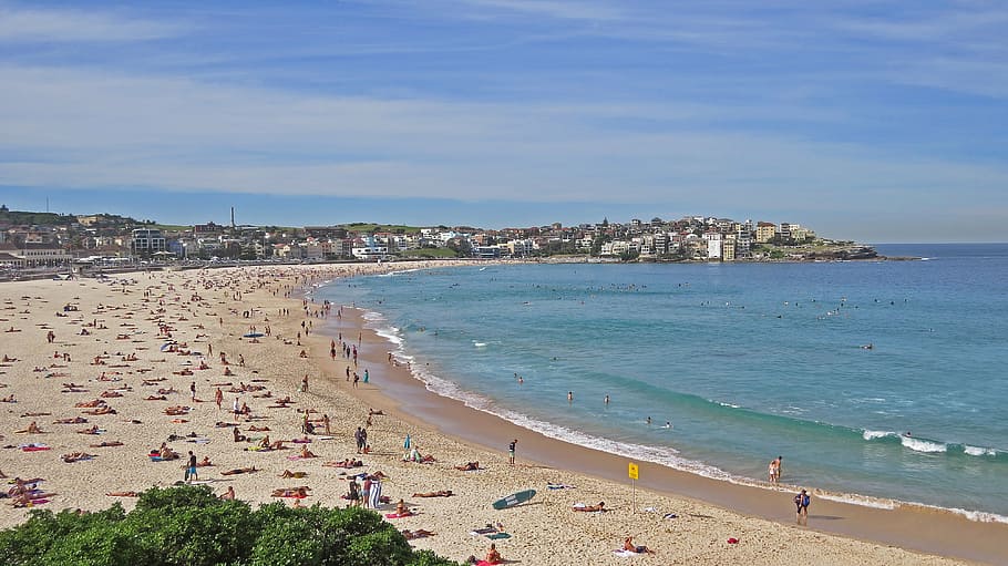 bondi, beach, surf, sea, land, water, architecture, built structure HD wallpaper
