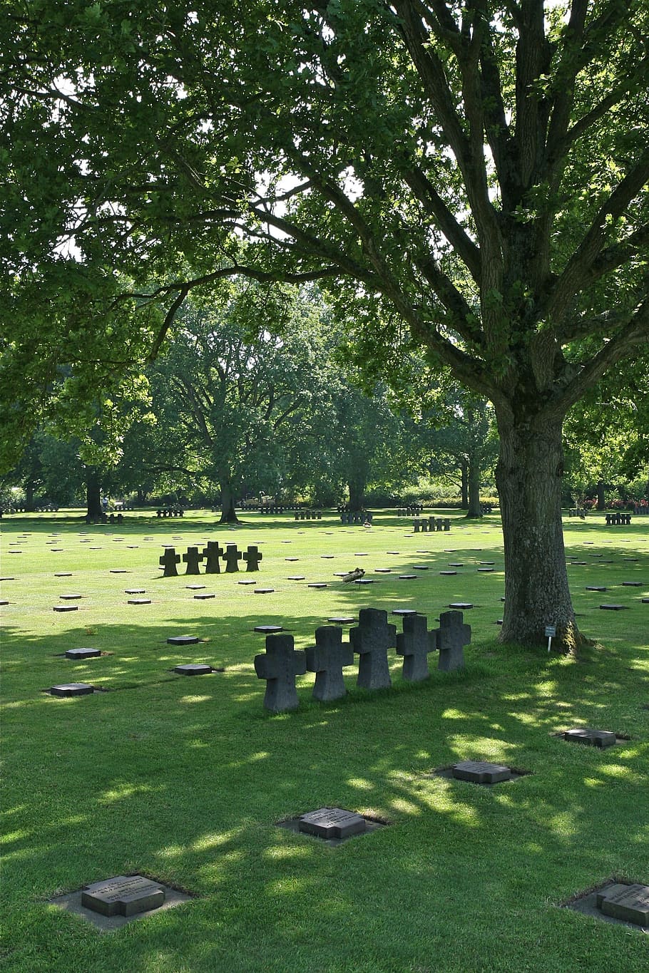 Cemetery, Normandy, Cross, tree, grass, green color, day, outdoors HD wallpaper