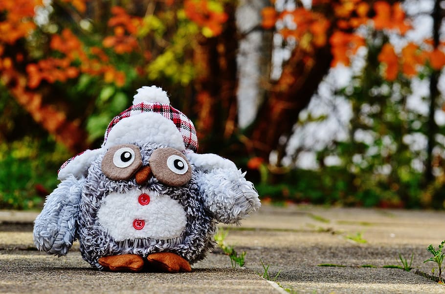 owl, autumn, winter, cap, funny, plush, cute, bird, buttons HD wallpaper