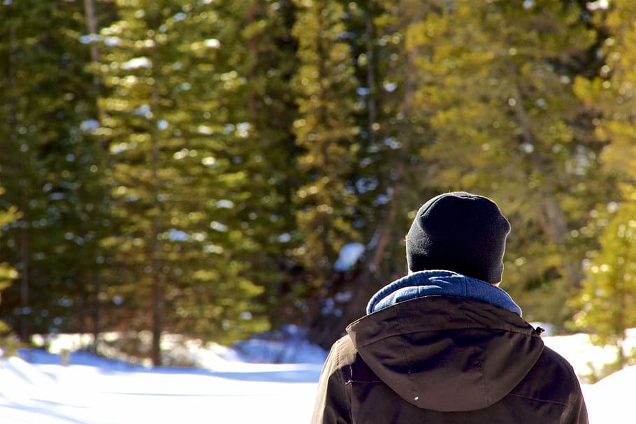 shallow focus photography of man looking at trees outdoor, person HD wallpaper