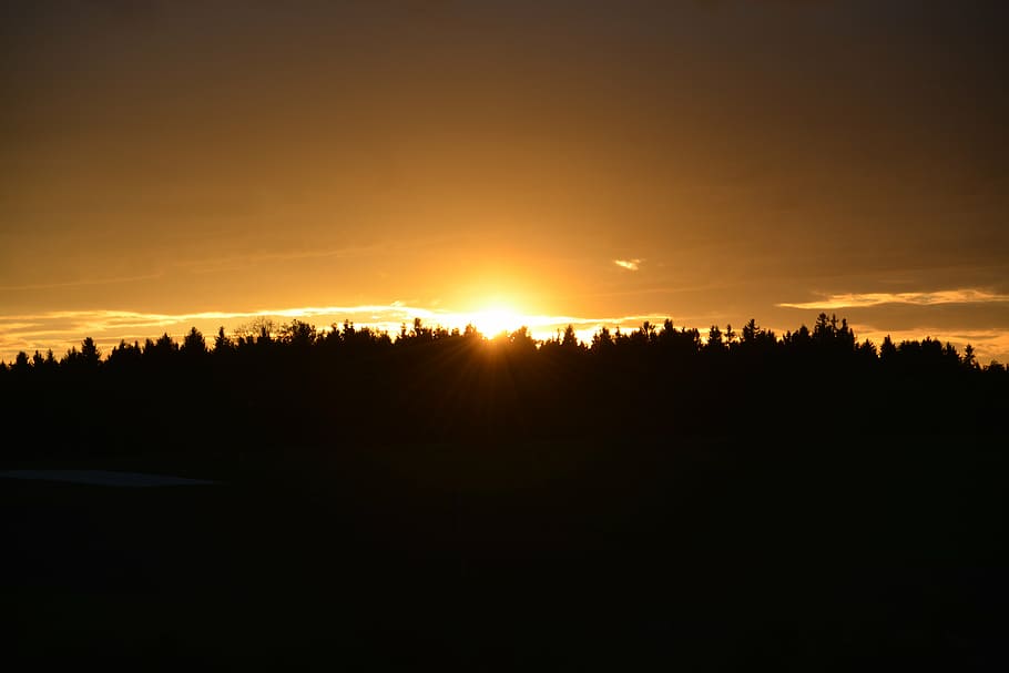 yellow, sunset, sky, clouds, nature, evening, landscape, evening sky HD wallpaper