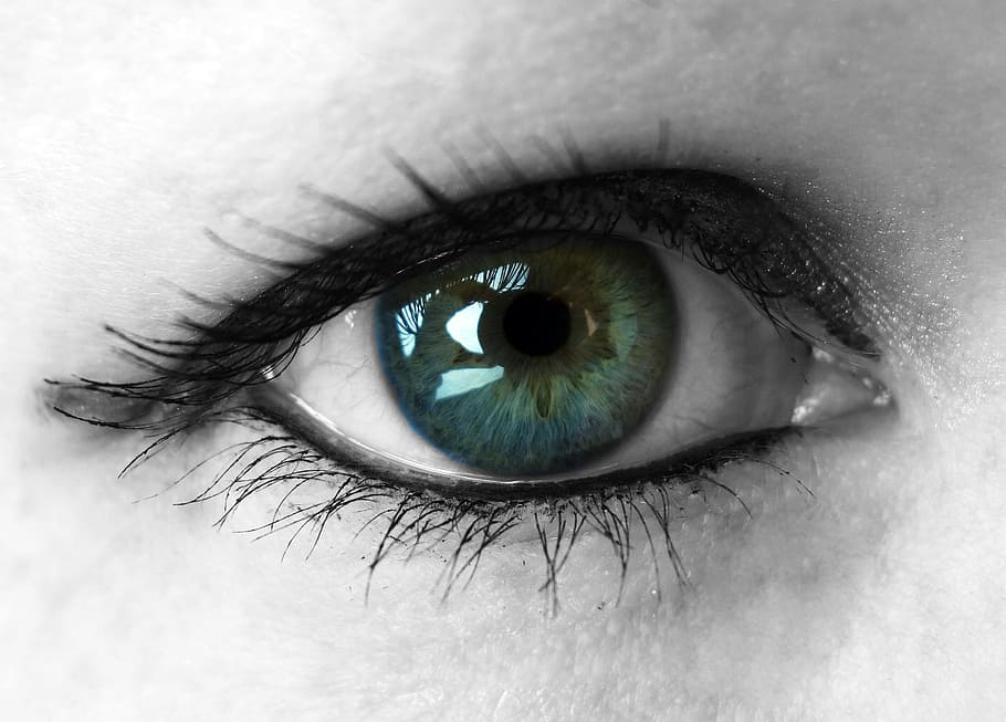 human eye, eyelashes, green, make up, iris, lid, woman, eyelid, HD wallpaper