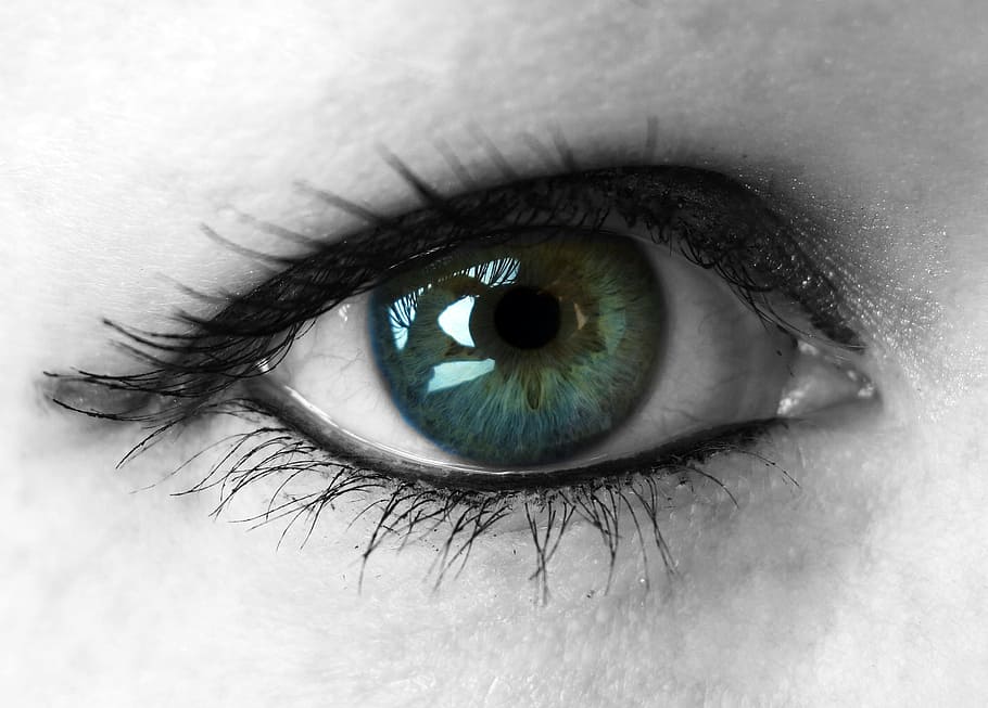 human eye, eyelashes, green, make up, iris, lid, woman, eyelid HD wallpaper
