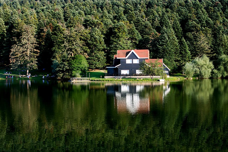 Bolu, Nature, Lake House, Pond, turkey, reflection, abant, forest, HD wallpaper