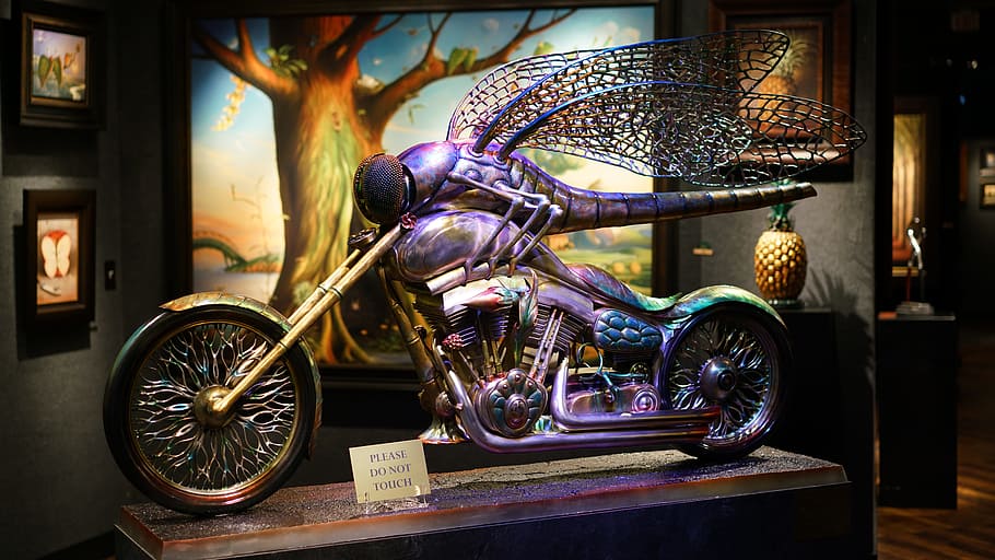 Moto, Gallery, Dragonfly, indoors, no people, old-fashioned HD wallpaper