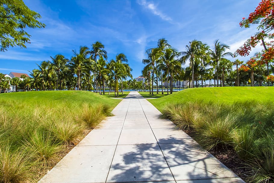 gray concrete road surrounded with green grass, miami, summer, HD wallpaper