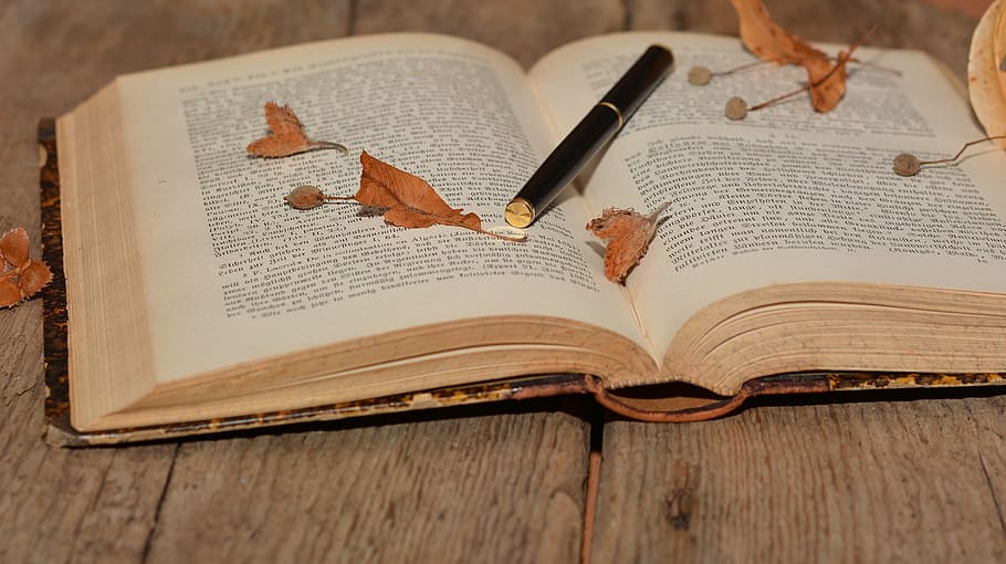 book, font, old, pen, wood, close, publication, education, table HD wallpaper
