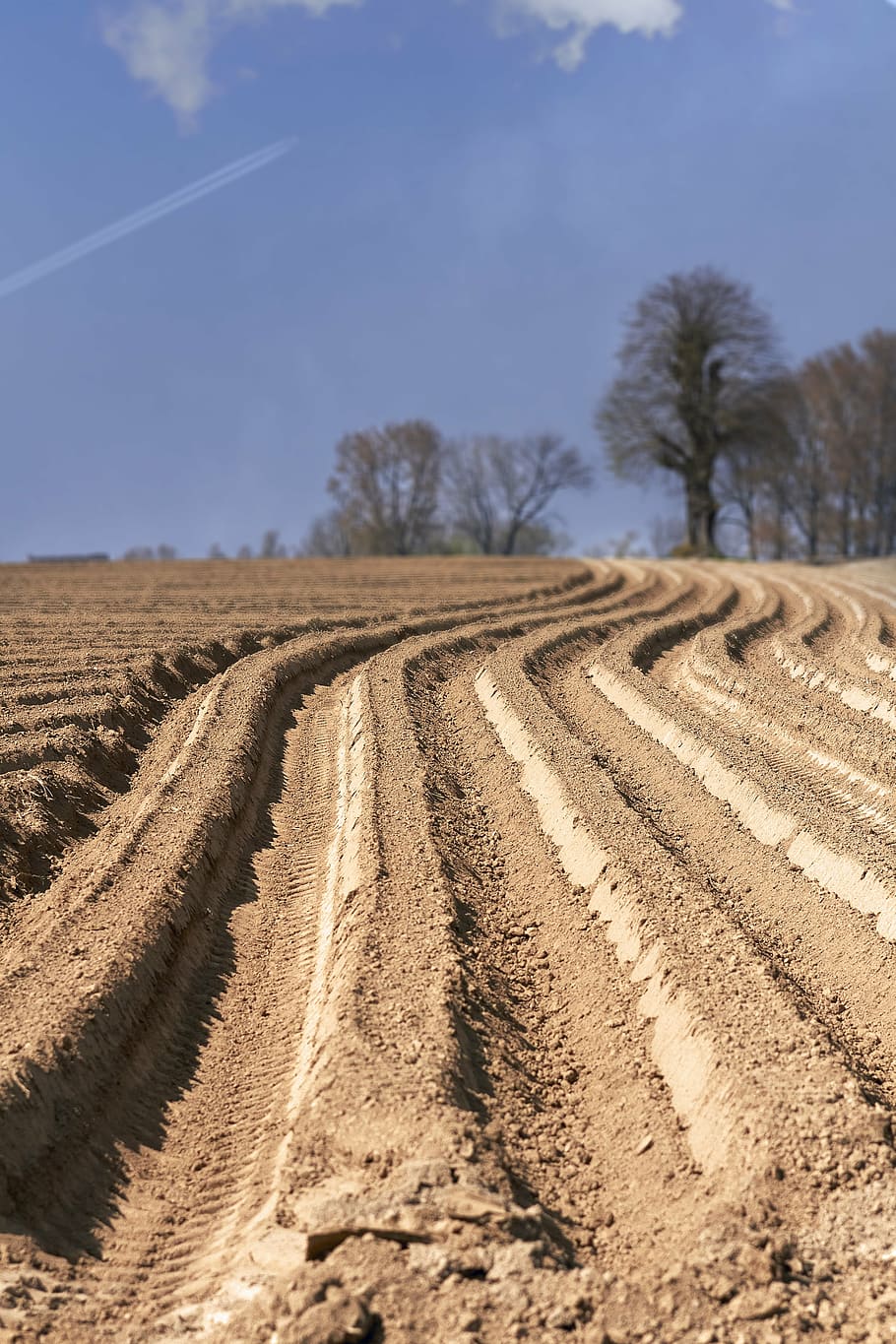 field, ground, spring, flemish ardennes, teams, agriculture HD wallpaper