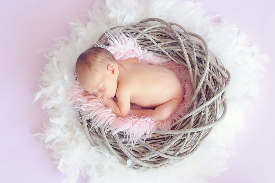 baby on pink nest sleeping, sleeping baby, baby girl, child, newborn, HD wallpaper