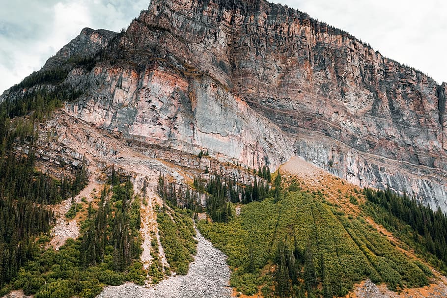 trees beside mountain cliff, landscape photo of brown and gray cliff HD wallpaper
