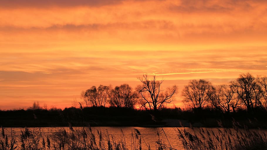 Sunset, Trees, Lake, Waters, silhuette, evening sky, twilight HD wallpaper