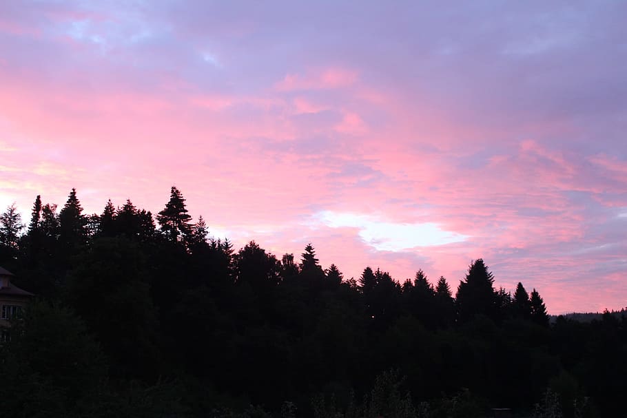 Germany, Clouds, abendstimmung, sky, pink, purple, tree, silhouette HD wallpaper