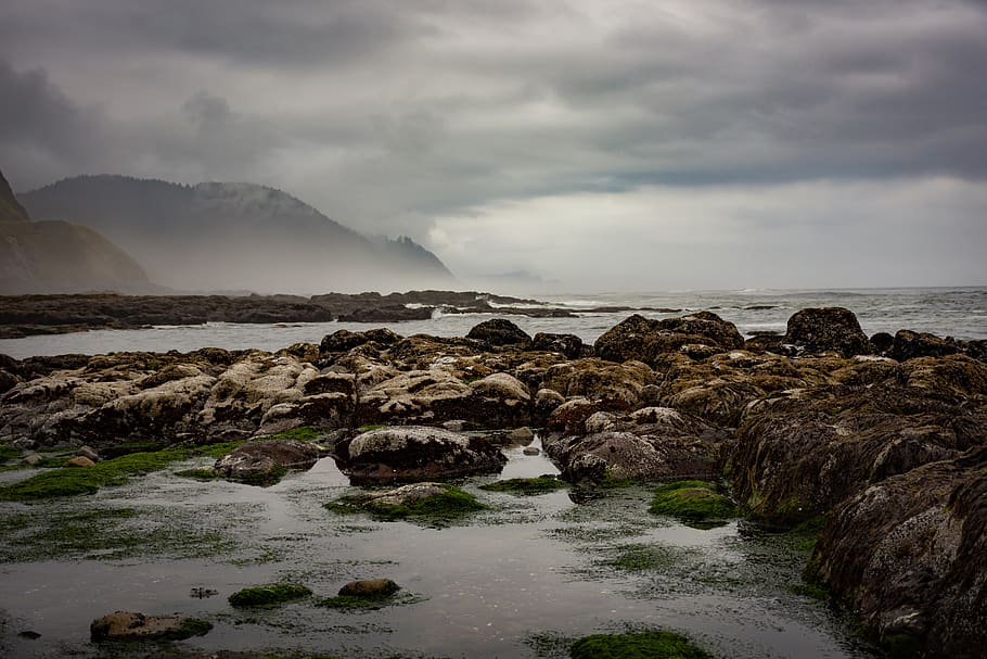 ocean, beach, rocks, nature, cloud - sky, water, beauty in nature HD wallpaper