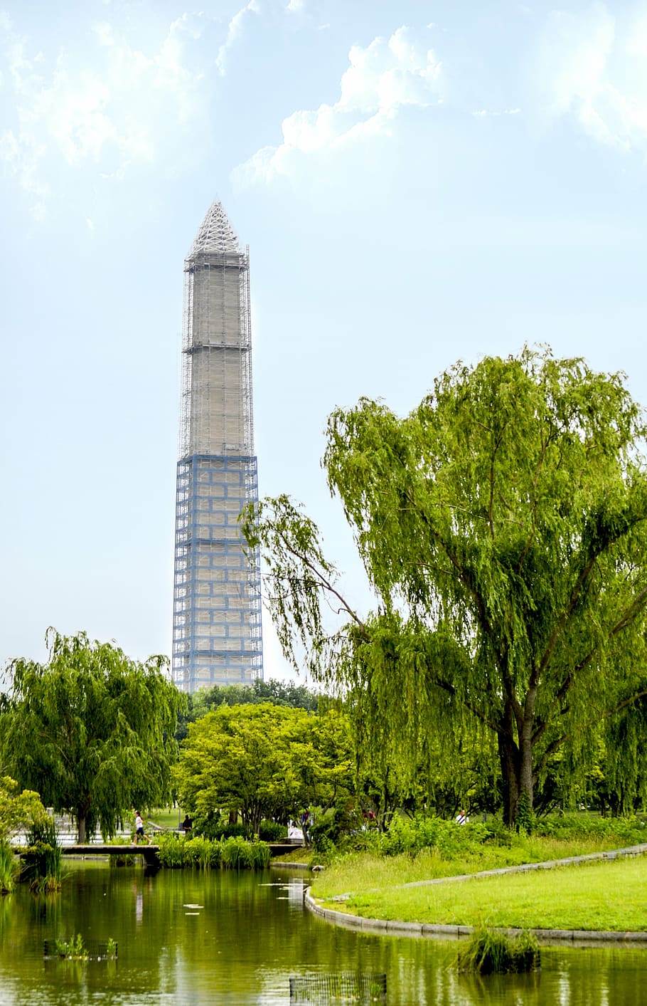 Green tower. Тауэр зеленая башня. Вашингтон. Башня в парке. Башня в парке ангелов.