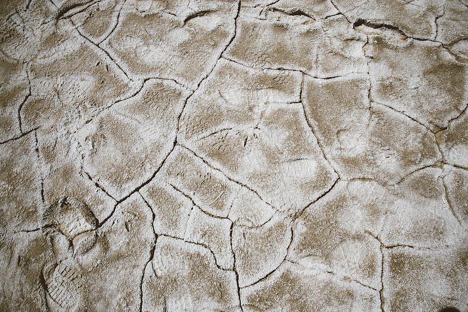 closeup photo of brown cracked soil, untitled, texture, ground