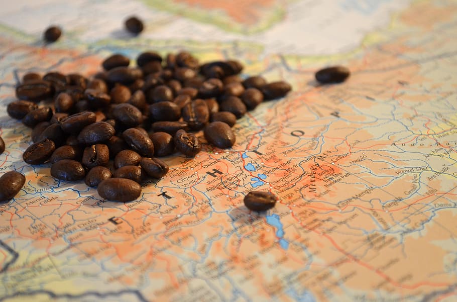 coffee beans on map, ethiopia, africa, atlas, selective focus, HD wallpaper