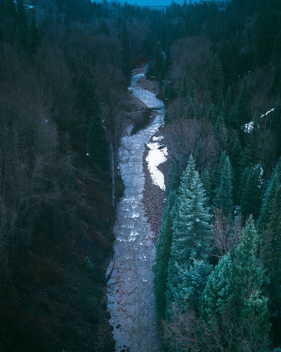 body of water surrounded by trees, aerial photography of river between forest HD wallpaper